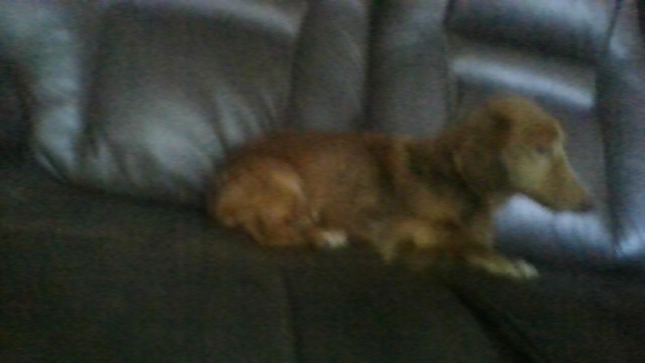 Charlie